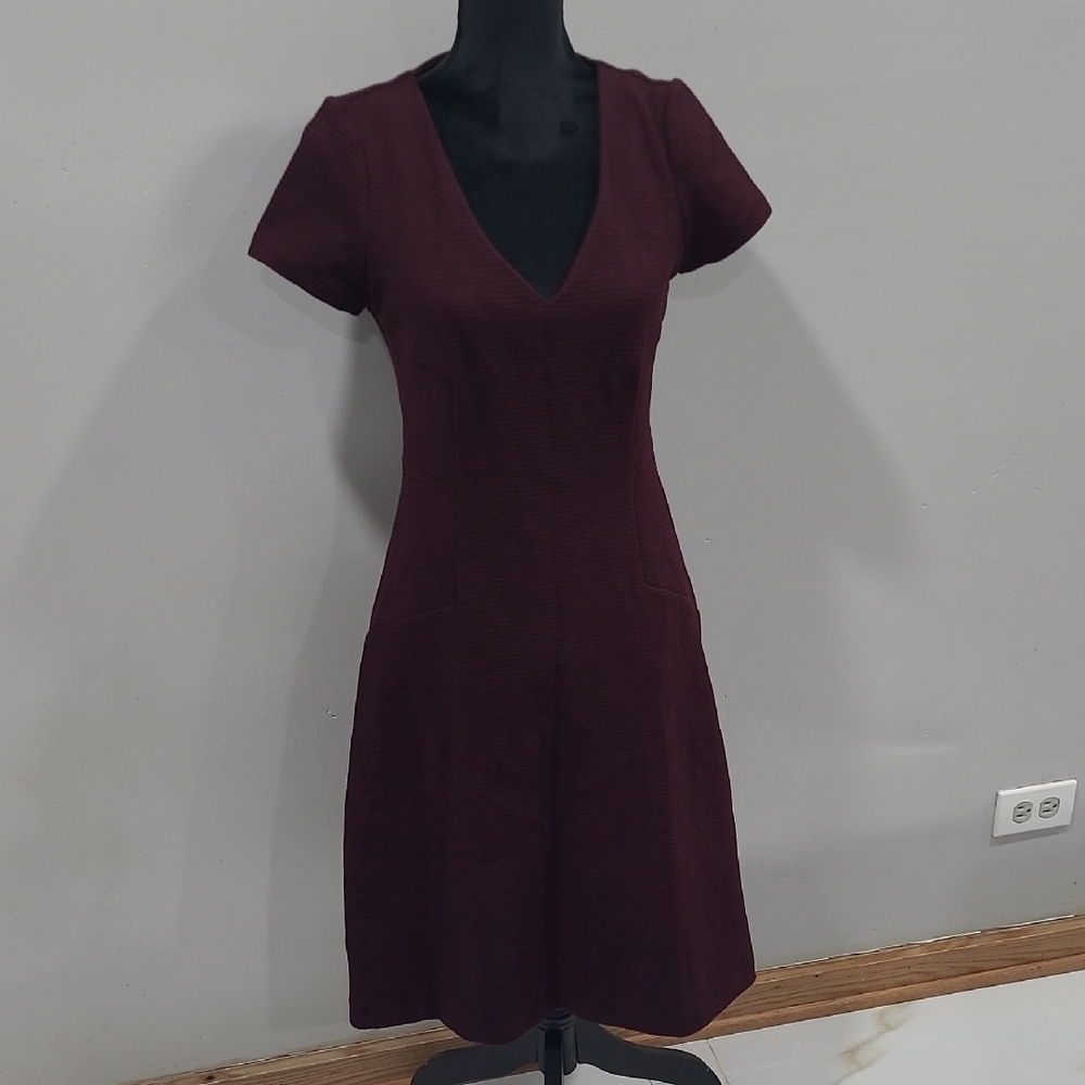 Elegant Burgundy Dress
